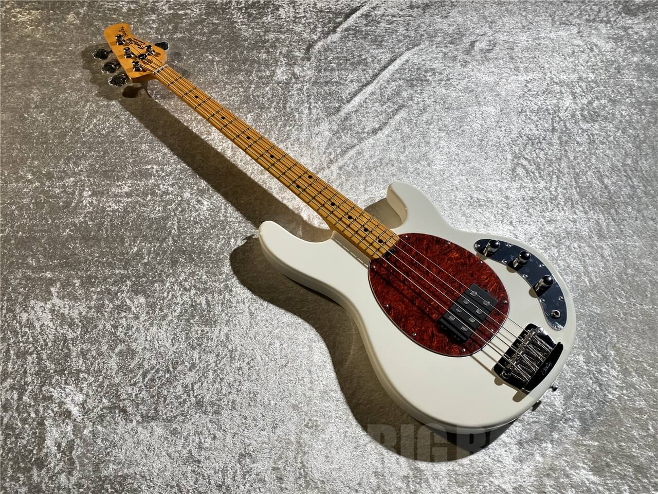 【即納可能】Sterling by MUSIC MAN(スターリンバイミュージックマン) STINGRAY CLASSIC RAY24CA(Olympic White) 札幌店 - 9