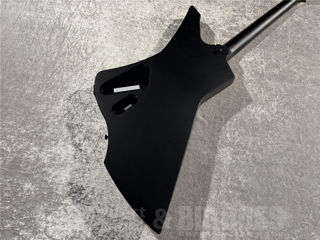 【即納可能】LTD(エルティーディー) SNAKEBYTE (Black Satin/James Hetfield Signature Model) 札幌店 - 7