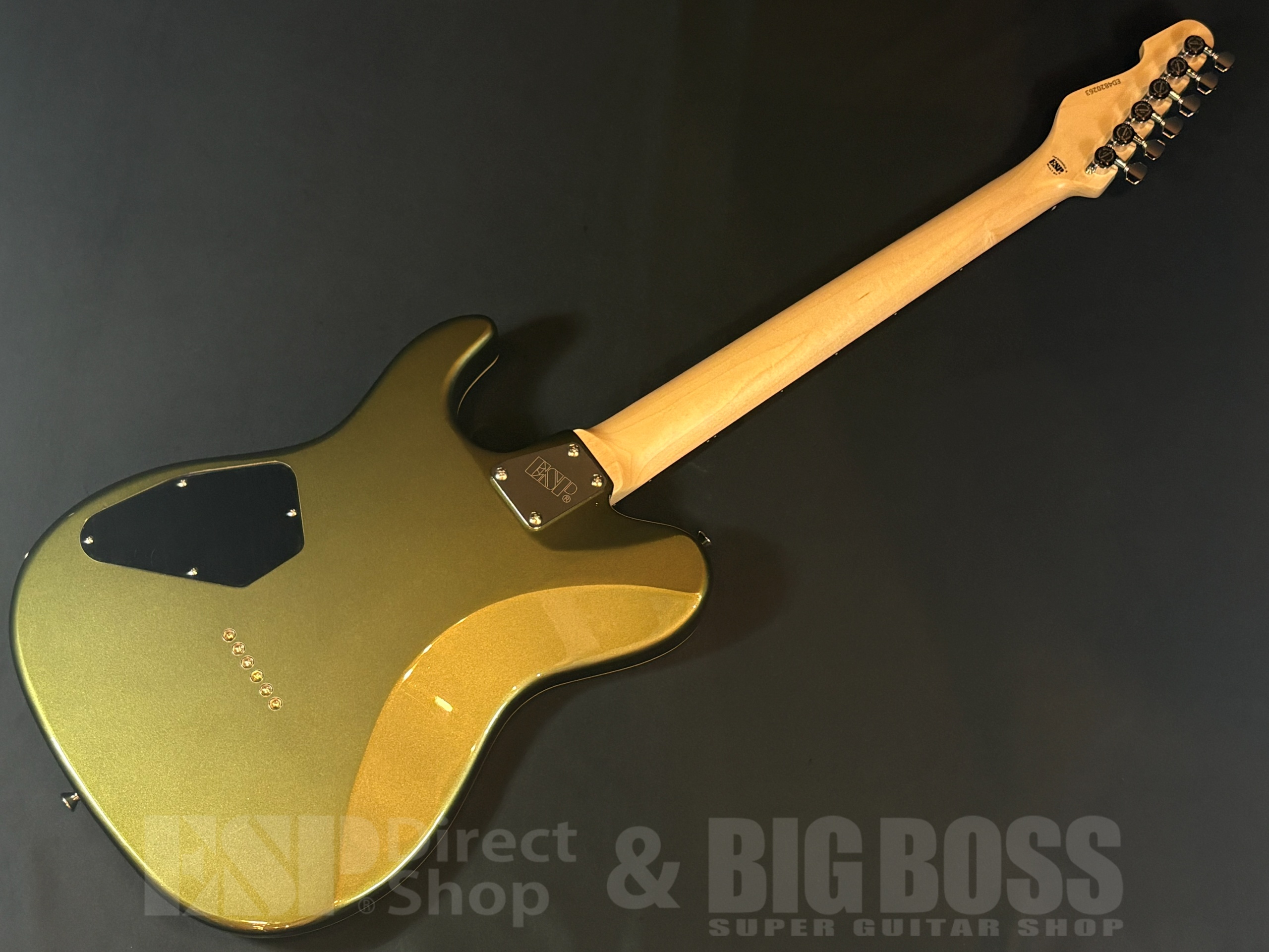 【即納可能】EDWARDS(エドワーズ) E-THROBBER-CTM / Leaf Green Metallic 大阪店 - 6