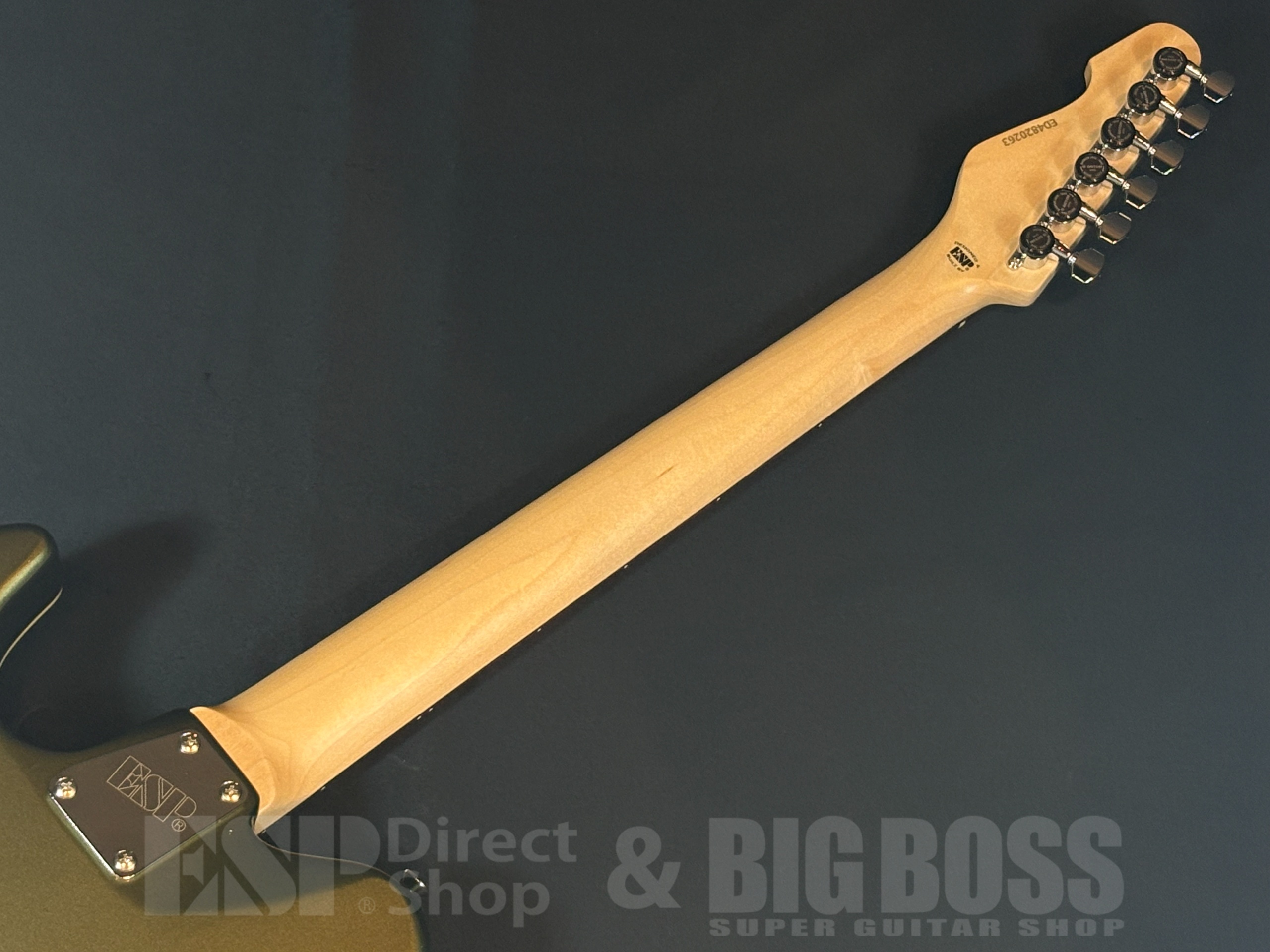 【即納可能】EDWARDS(エドワーズ) E-THROBBER-CTM / Leaf Green Metallic 大阪店 - 8