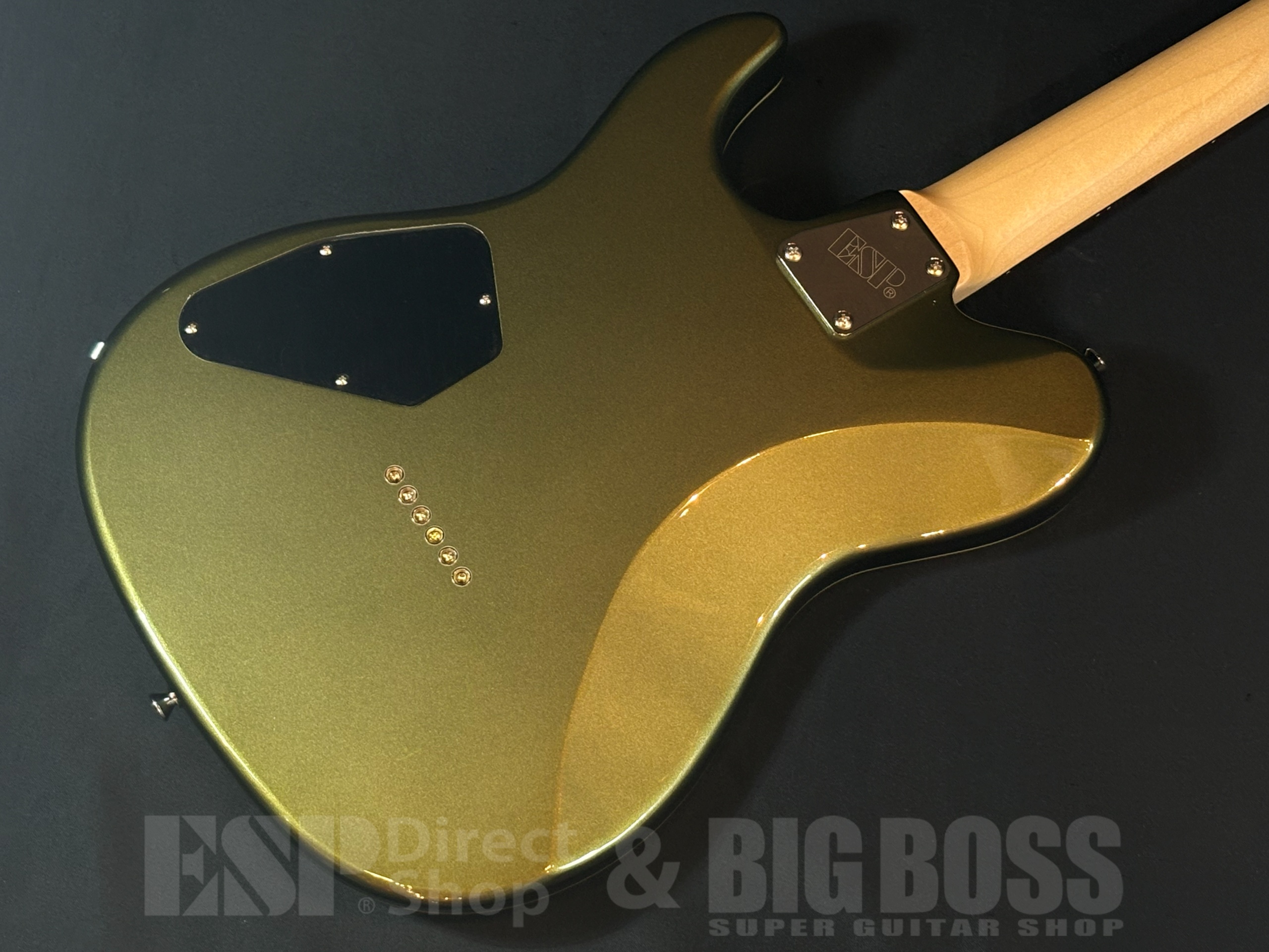 【即納可能】EDWARDS(エドワーズ) E-THROBBER-CTM / Leaf Green Metallic 大阪店 - 7