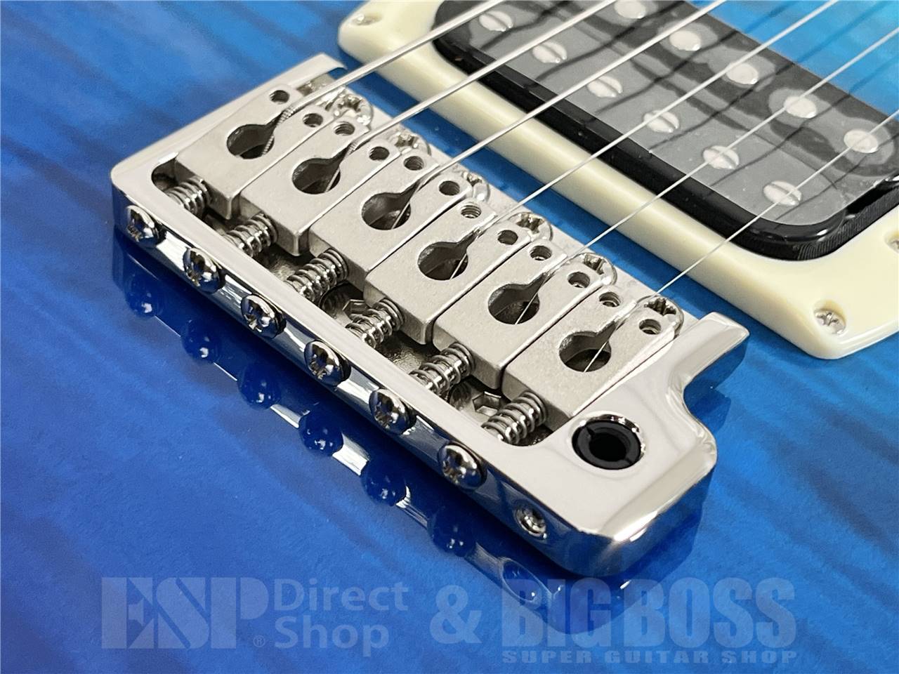 【即納可能】Paul Reed Smith(PRS/ポールリードスミス) SE Custom 24 / Sapphire Fade (2025年製)お茶の水駅前店・別館 - 3