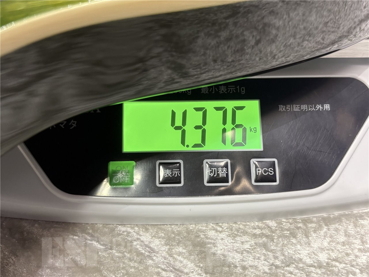 【即納可能】Sfida (スフィーダ) SJB-800 (Green) 広島店 - 9