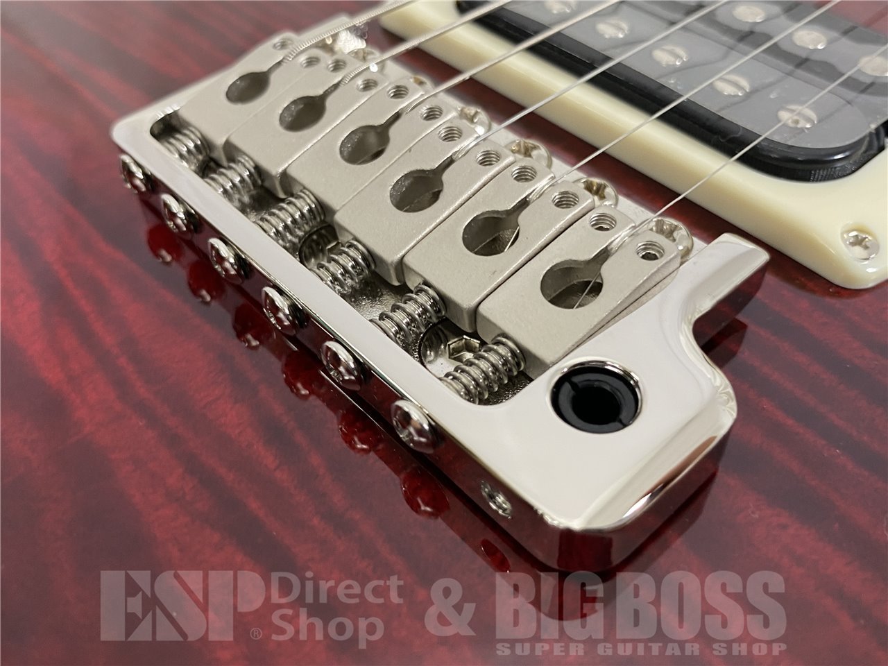 【即納可能】Paul Reed Smith(PRS/ポールリードスミス) SE Custom 24 / Fire Red Burst (2025年製) お茶の水駅前店(東京) - 5