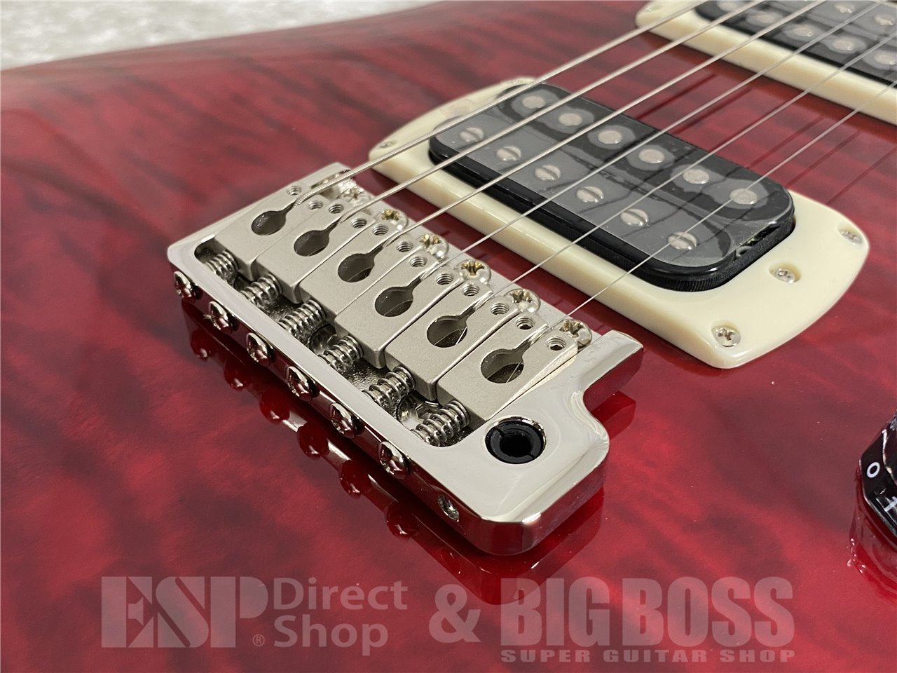 【即納可能】Paul Reed Smith(PRS/ポールリードスミス) SE Custom 24 / Black Cherry (2025年製) お茶の水駅前店(東京) - 5