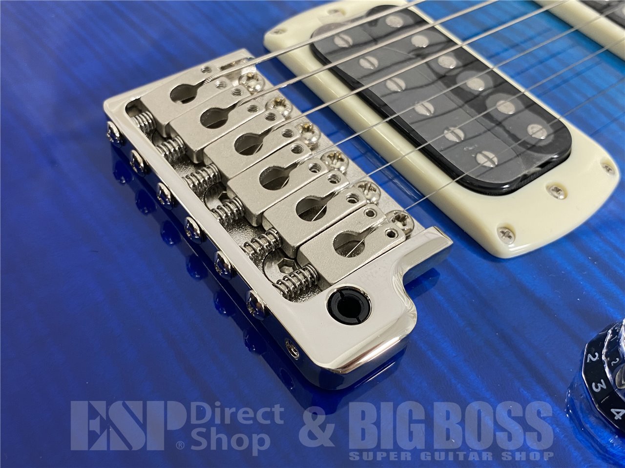 【即納可能】Paul Reed Smith(PRS/ポールリードスミス) SE Custom 24 / Blue Fade (2025年製) お茶の水駅前店(東京) - 5