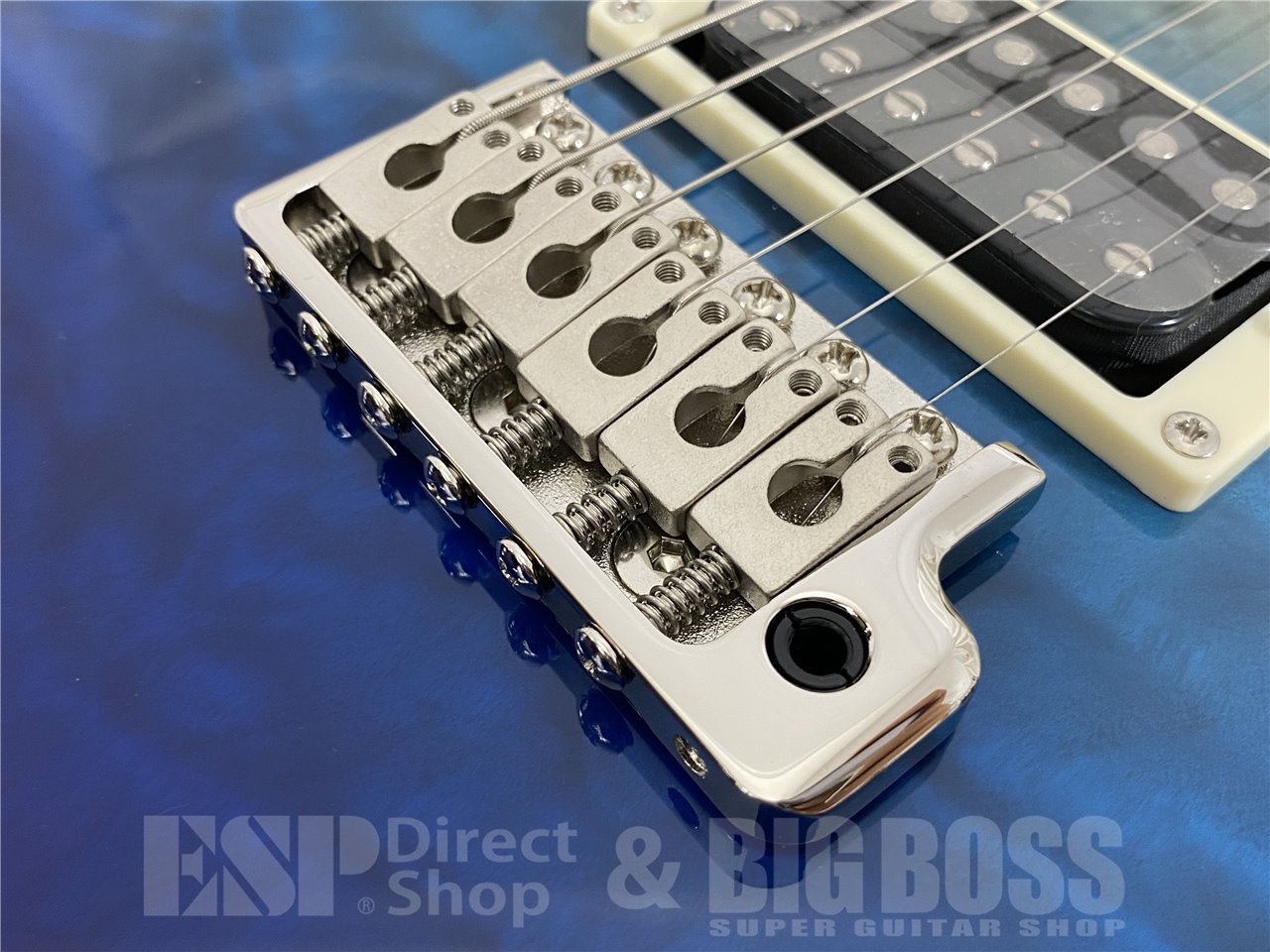 【即納可能】Paul Reed Smith(PRS/ポールリードスミス) SE Custom 24 Quilt / Blue Fade (2025年製) お茶の水駅前店(東京) - 5