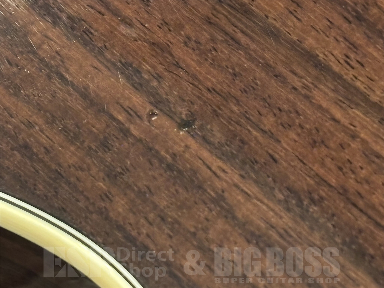 【即納可能】Eastman(イーストマン)  E8-OM-TC 京都店 - 10