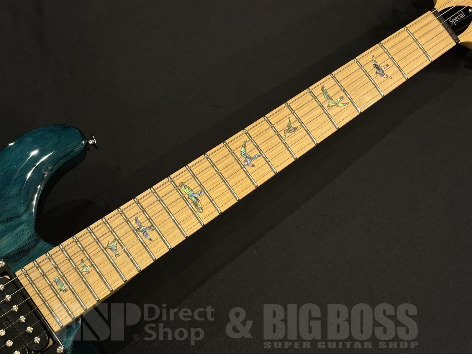 【即納可能/USED】Paul Reed Smith(PRS/ポールリードスミス) SE Swamp Ash Special  / Iri Blue 【2024年モデル】 京都店 - 5