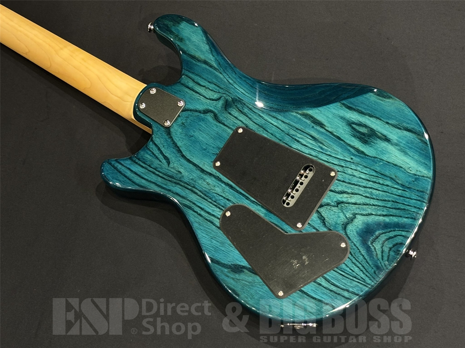 【即納可能/USED】Paul Reed Smith(PRS/ポールリードスミス) SE Swamp Ash Special  / Iri Blue 【2024年モデル】 京都店 - 9