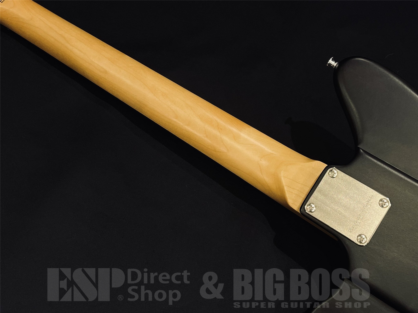 【即納可能】EDWARDS (エドワーズ)Platinum Edition KARMASTER (9mm Parabellum Bullet/滝 善充 Model) 京都店 - 10
