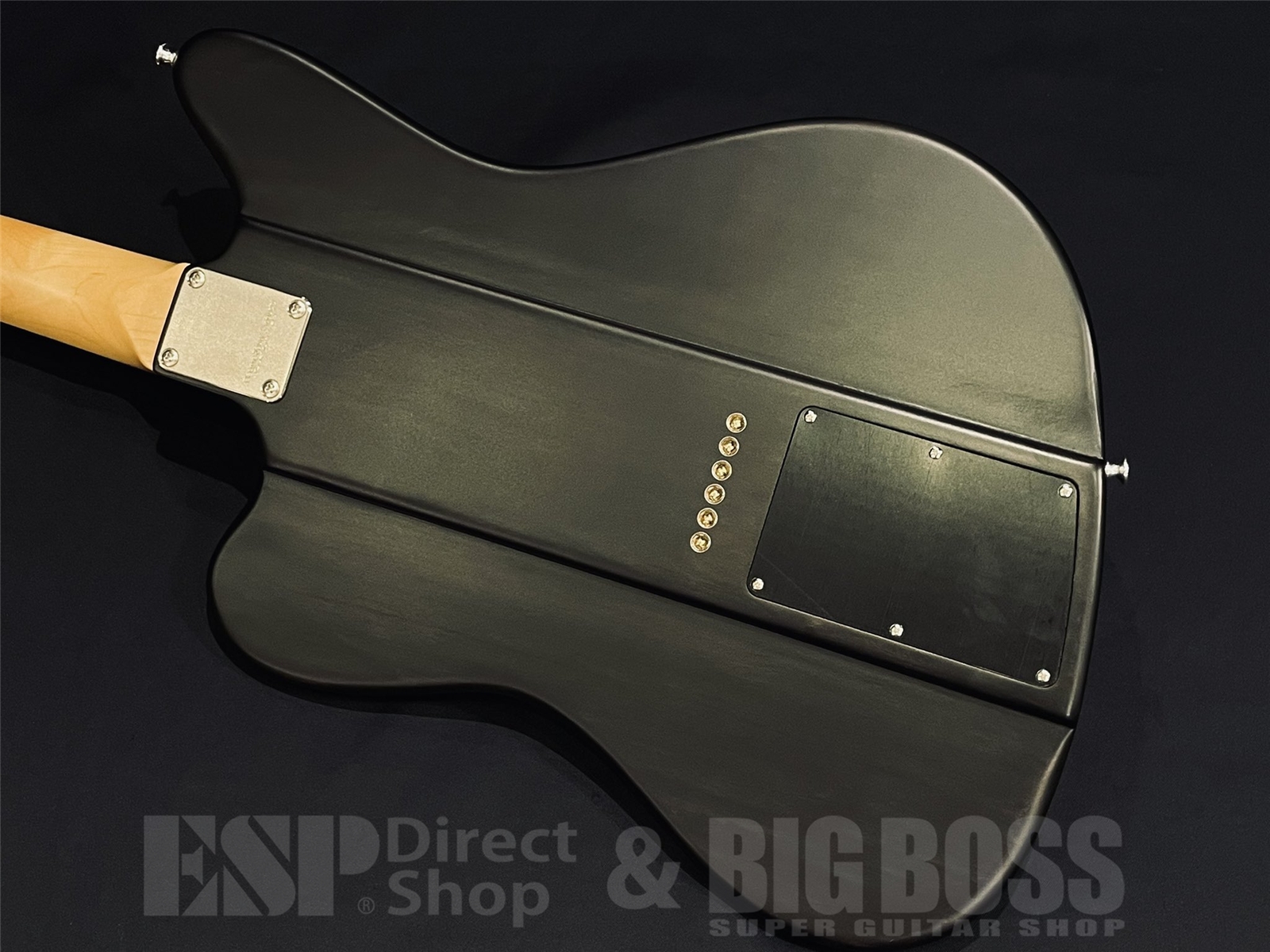 【即納可能】EDWARDS (エドワーズ)Platinum Edition KARMASTER (9mm Parabellum Bullet/滝 善充 Model) 京都店 - 9
