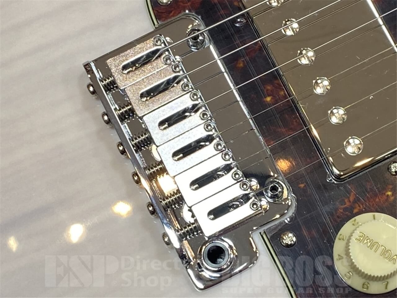 【即納可能】EDWARDS E-SNAPPER-AS/M /Blond GWS - 3
