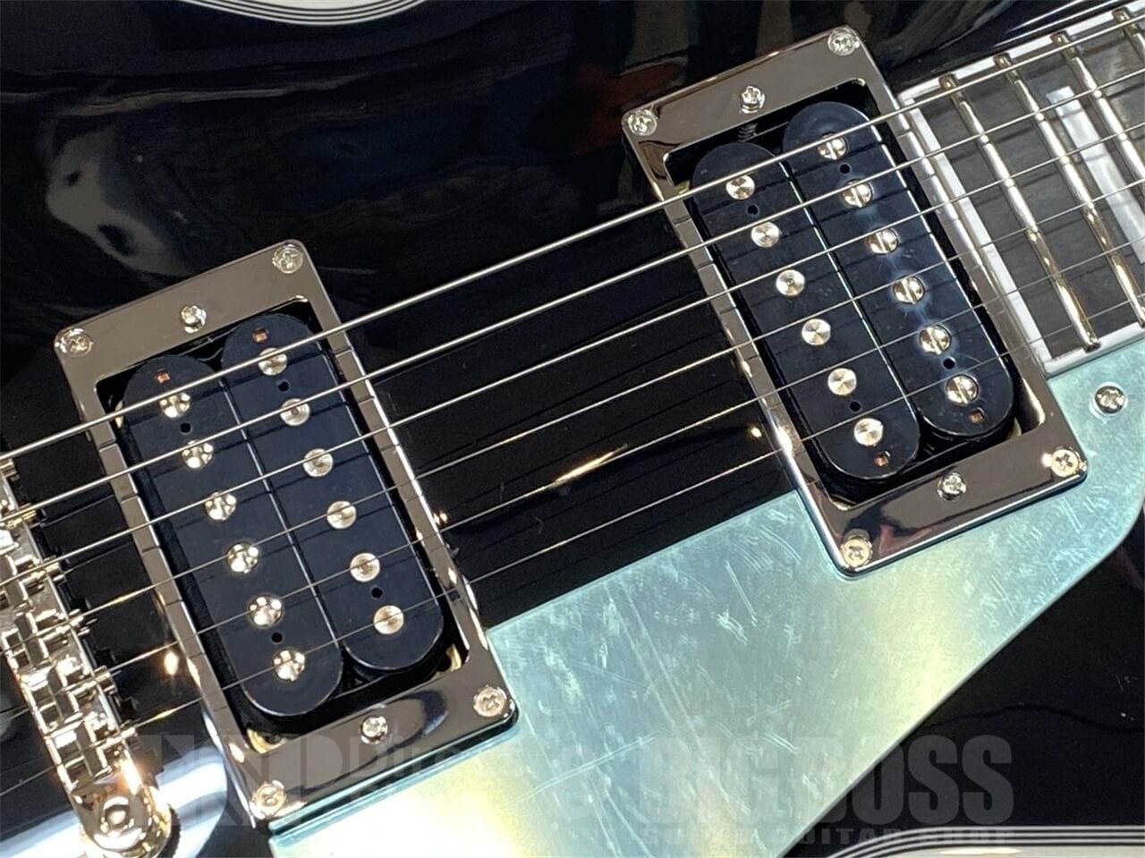 【即納可能】EDWARDS(エドワーズ) E-LP-CTM / JS GWS - 4