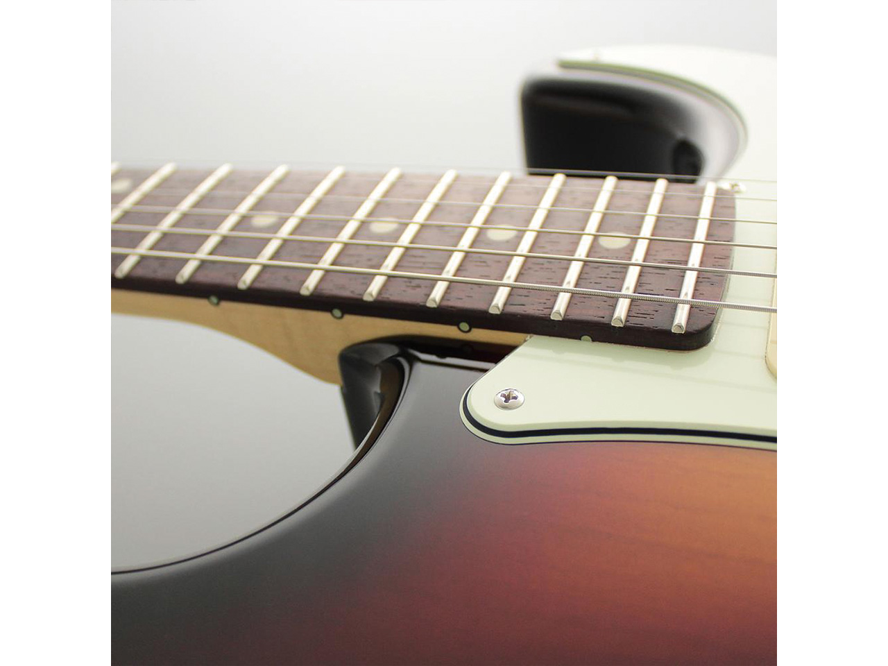 【お取り寄せ】FUJIGEN(FGN/フジゲン) NST110RAL / 3TS(３トーンサンバースト)