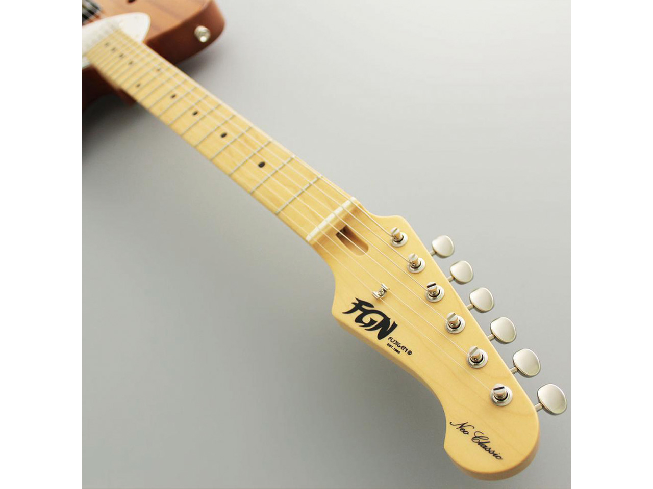 【お取り寄せ】FUJIGEN(FGN/フジゲン) NTE110MMHT / NT(ナチュラル)