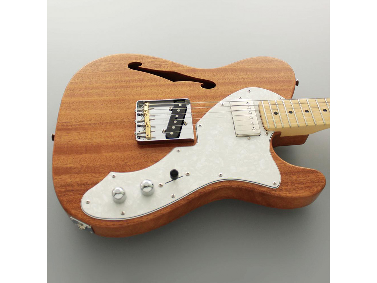 【お取り寄せ】FUJIGEN(FGN/フジゲン) NTE110MMHT / NT(ナチュラル)