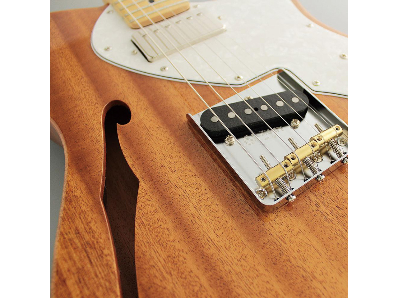 【お取り寄せ】FUJIGEN(FGN/フジゲン) NTE110MMHT / NT(ナチュラル)