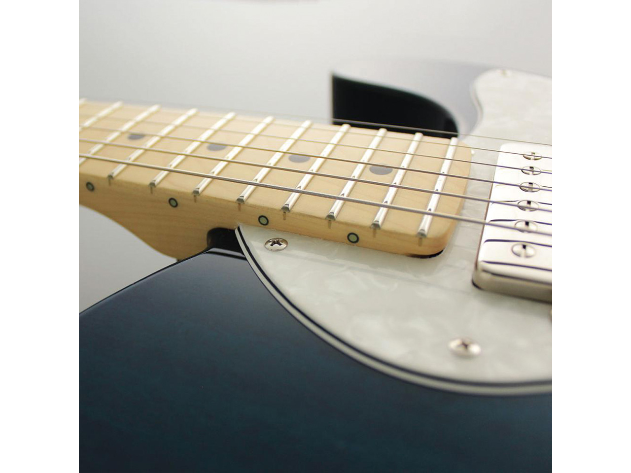 【お取り寄せ】FUJIGEN(FGN/フジゲン) NTE110MMHT / TBL(トランスペアレントブルー)