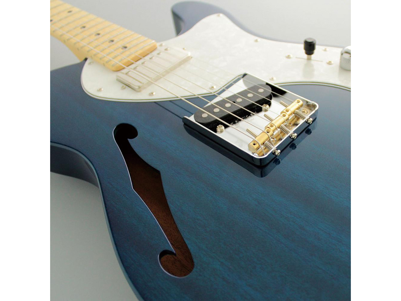 【お取り寄せ】FUJIGEN(FGN/フジゲン) NTE110MMHT / TBL(トランスペアレントブルー)