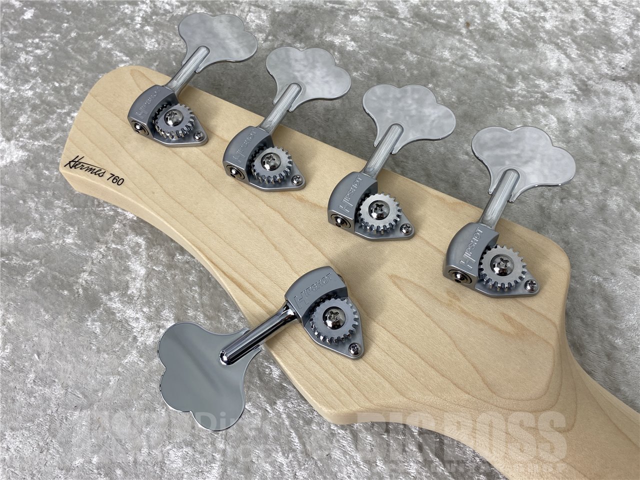 【即納可能】Kikuchi Guitars(キクチギターズ) Hermes MV5 / Natural お茶の水駅前店(東京) - 10