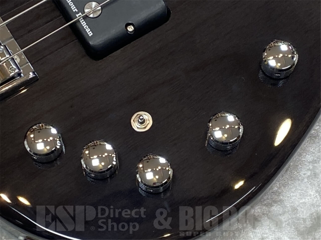 【即納可能】E-II AP-5 /See Thru Black/ GWS - 5