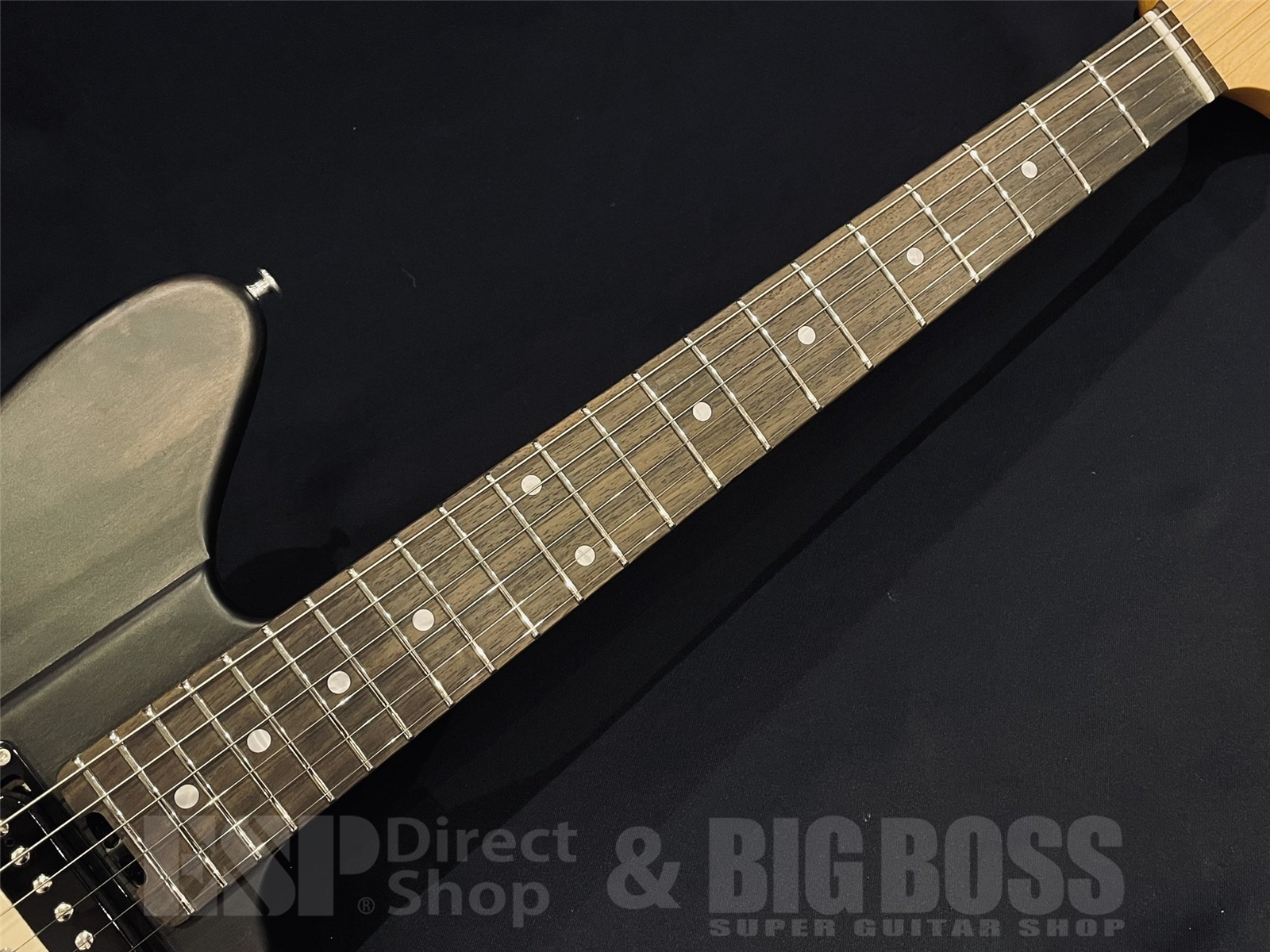 【即納可能】EDWARDS (エドワーズ)Platinum Edition KARMASTER (9mm Parabellum Bullet/滝 善充 Model) 京都店 - 5