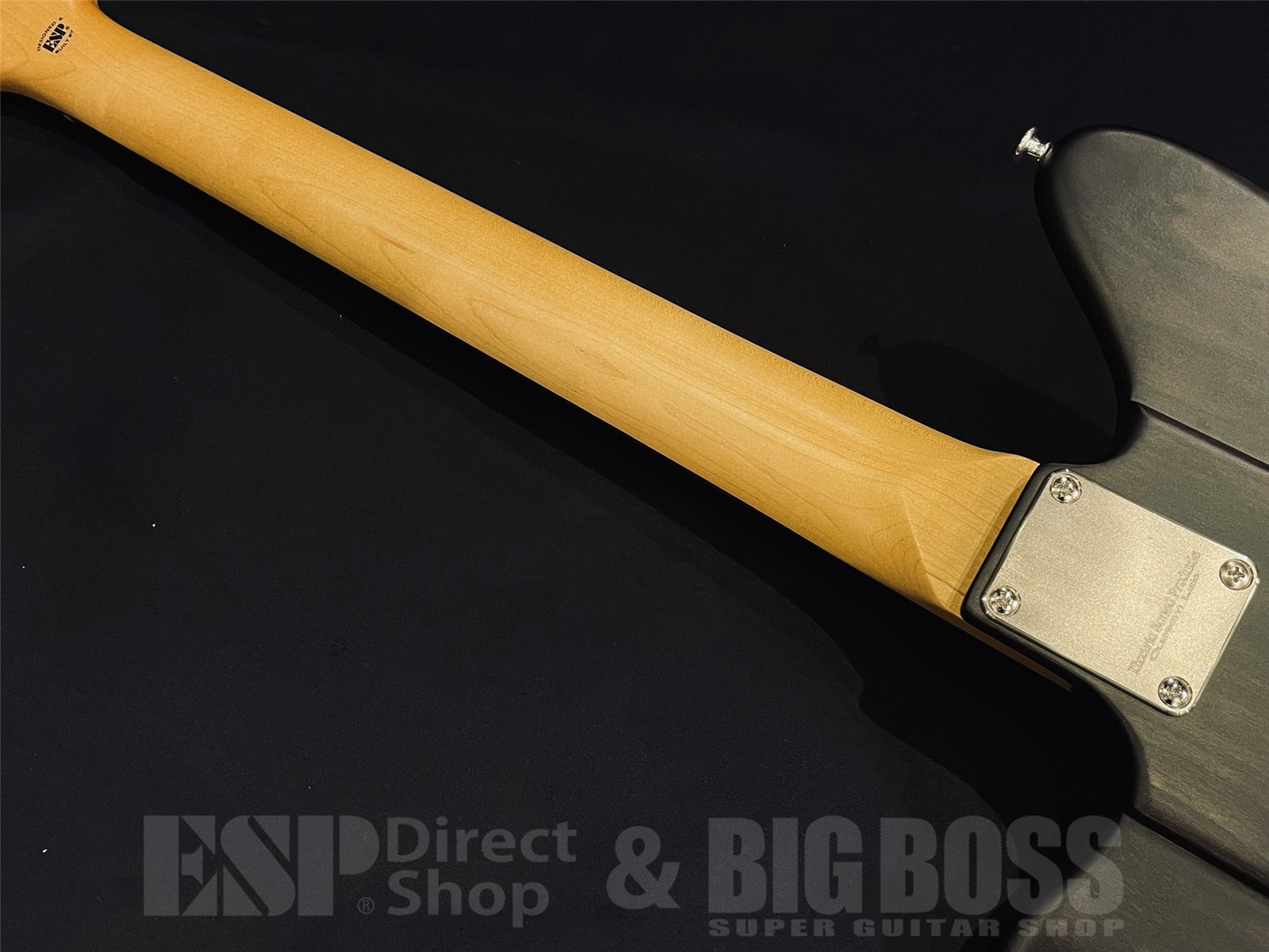 【即納可能】EDWARDS (エドワーズ)Platinum Edition KARMASTER (9mm Parabellum Bullet/滝 善充 Model) 京都店 - 10