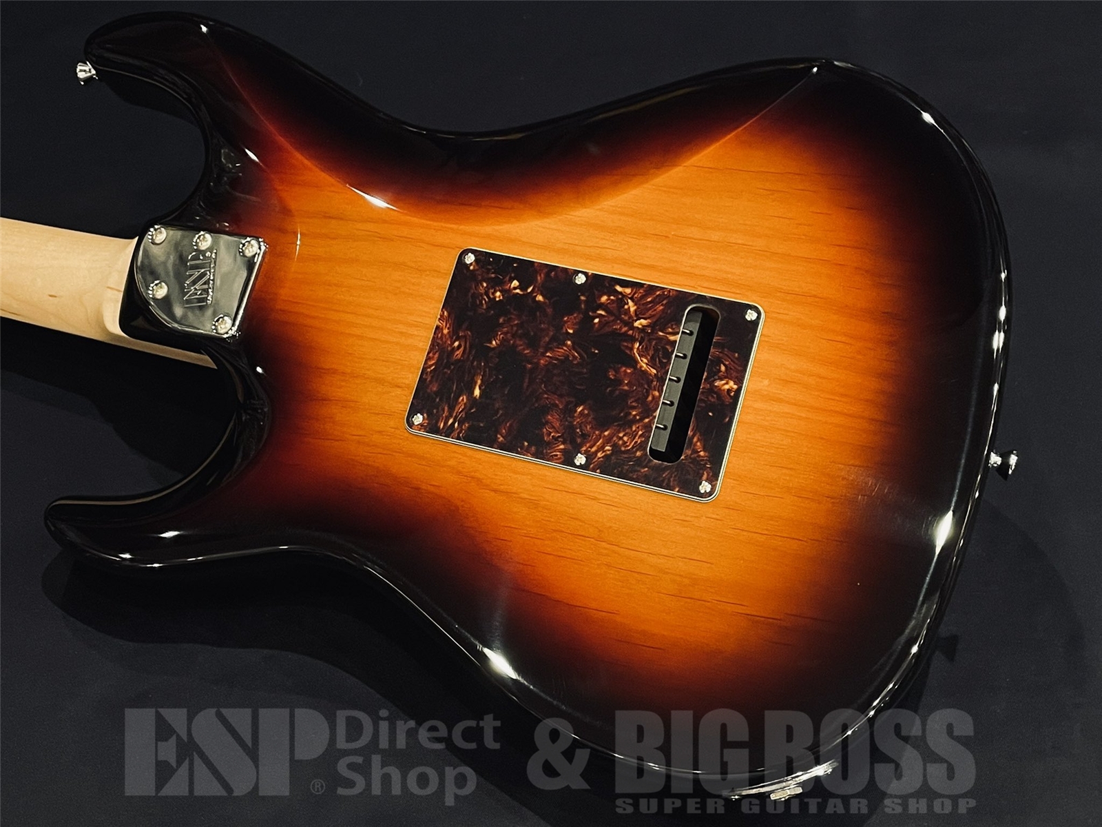 【即納可能】EDWARDS(エドワーズ) E-SNAPPER-AL/R / 3 Tone Sunburst 京都店 - 9