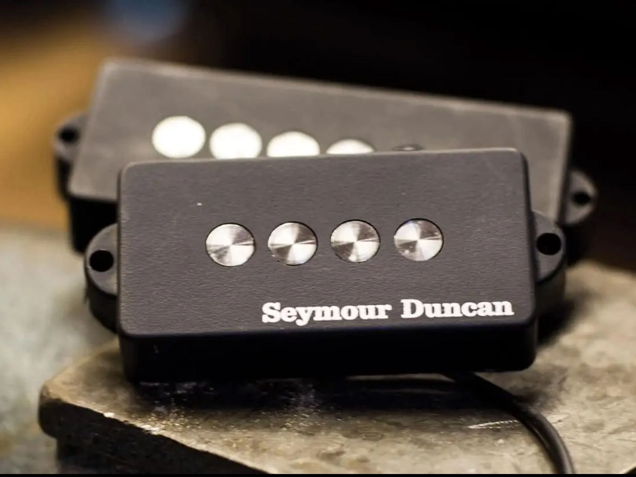 Seymour Duncan(セイモアダンカン) Quarter Pound™ P-Bass 5 | Quarter Pound™ P-Bass 5 String(ベース用ピックアップ)