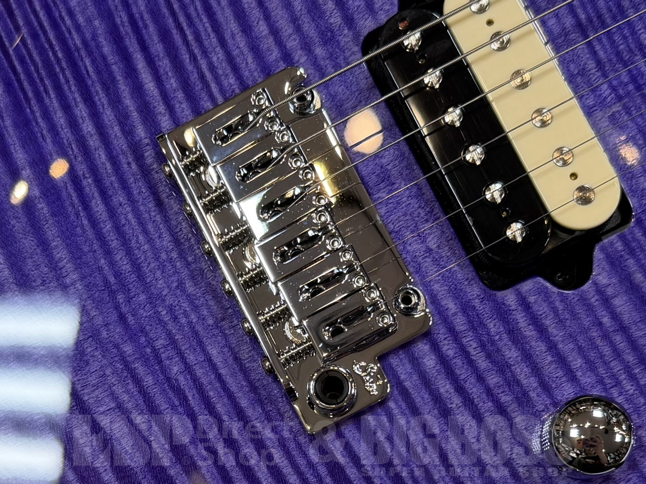 【即納可能】Suhr(正規輸入品) JE-Line Modern Plus Ash/TPP/PF/ GWS - 5