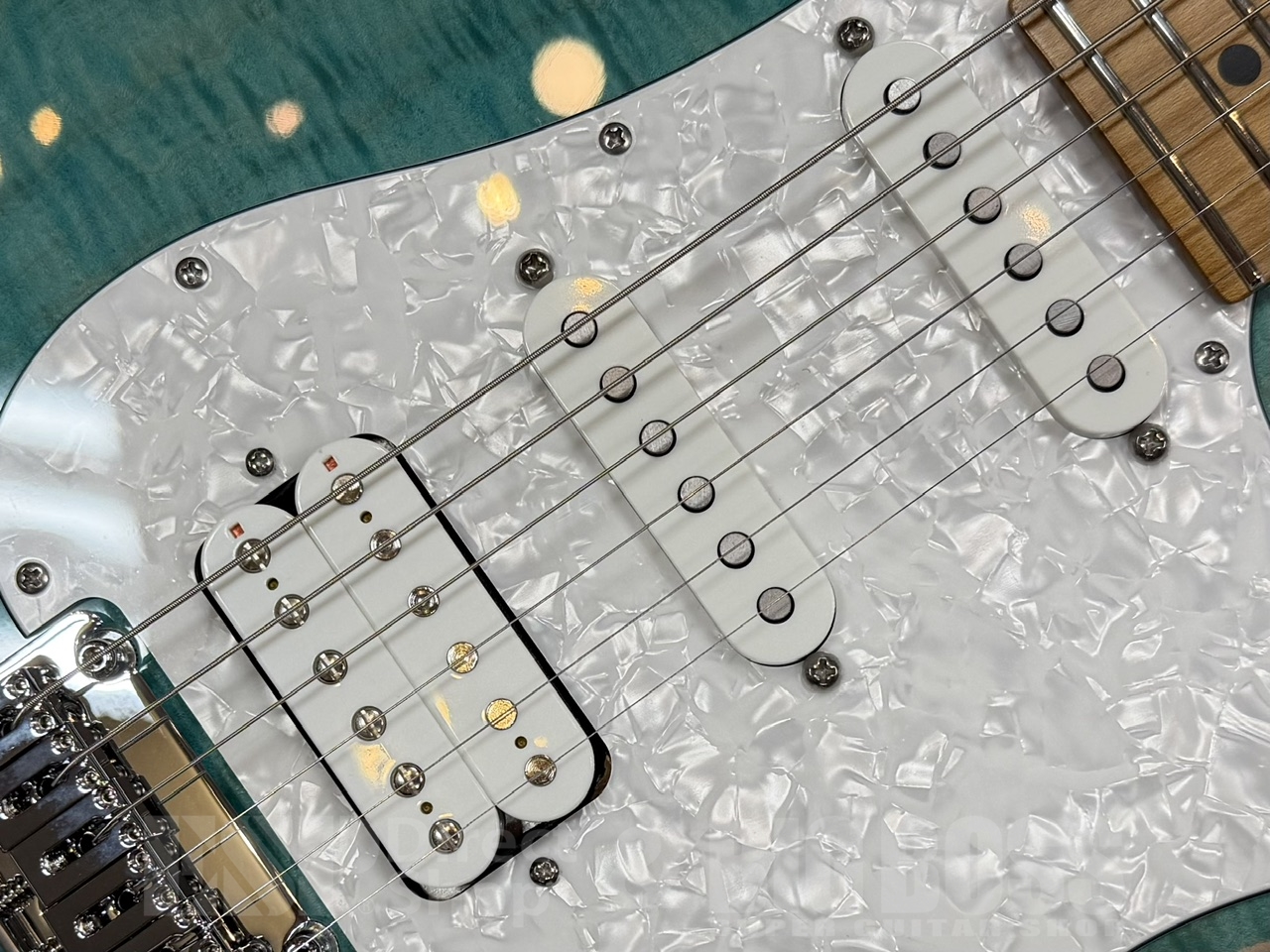 【即納可能】Suhr(正規輸入品) JST Standard Plus/BHB/RM/ GWS - 5