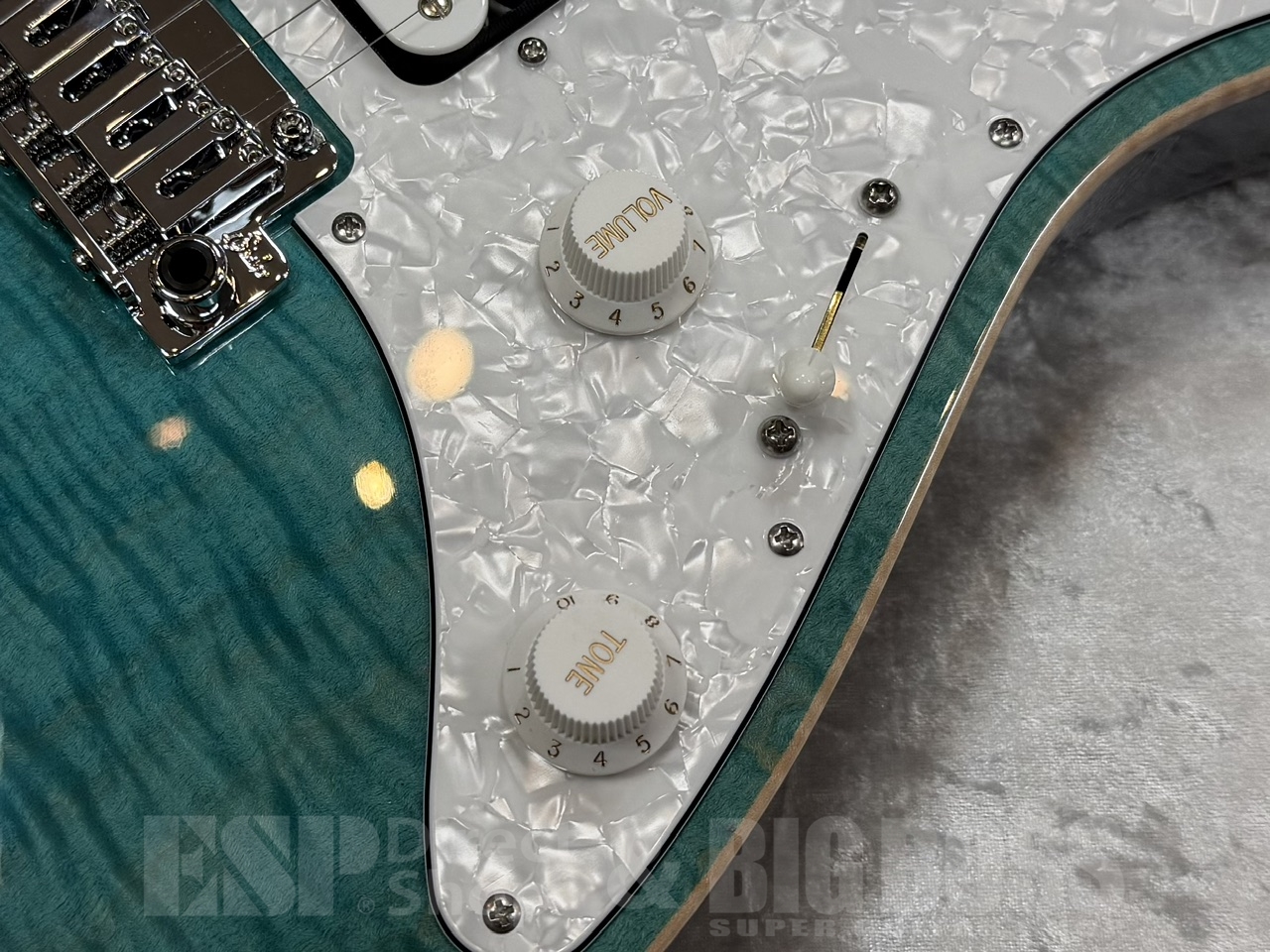 【即納可能】Suhr(正規輸入品) JST Standard Plus/BHB/RM/ GWS - 6
