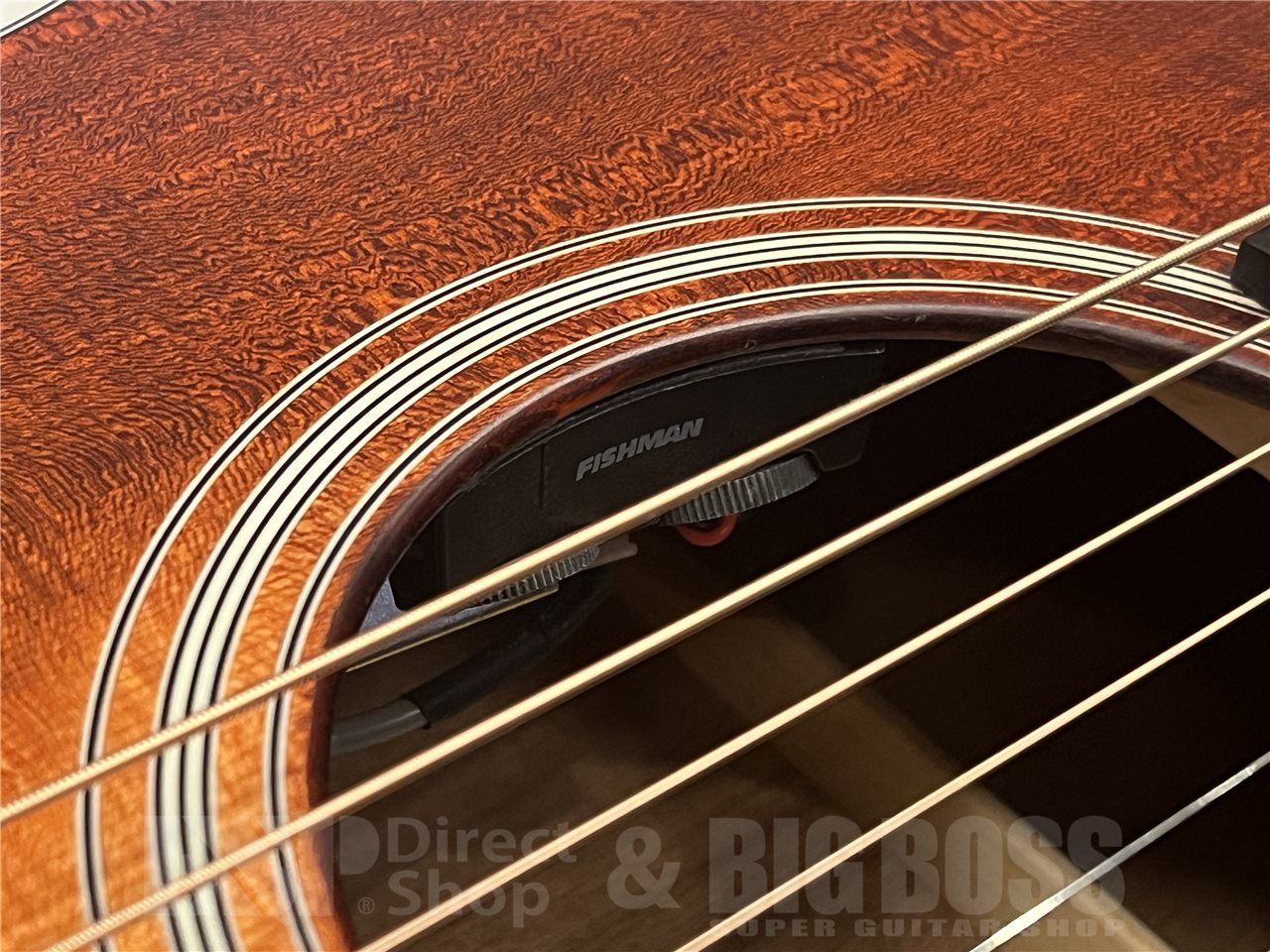 【即納可能】Eastman（イーストマン）AC122CE-1CE-CLA（Classic）　名古屋店 - 3