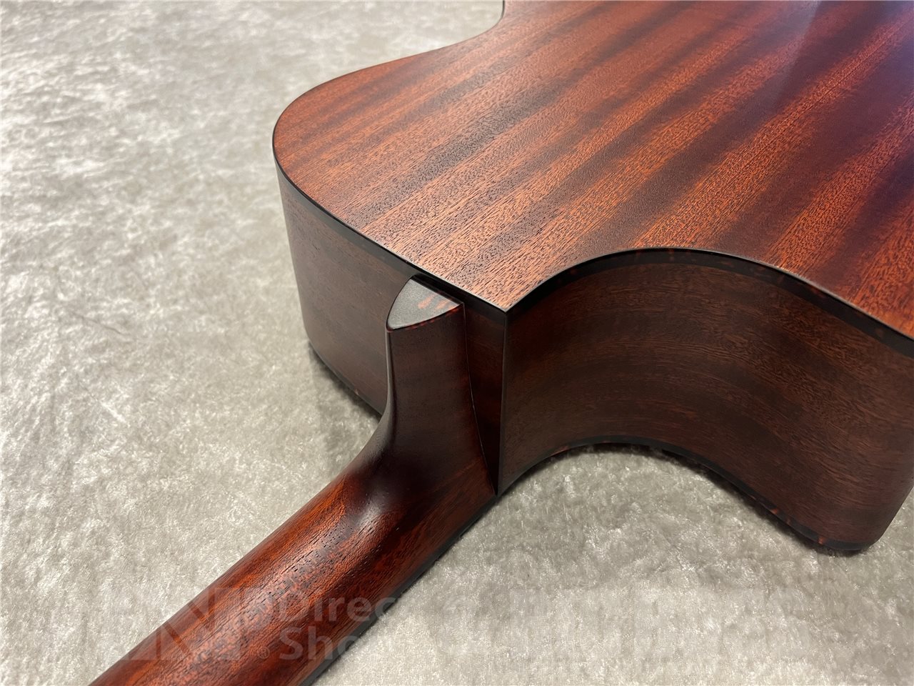【即納可能】Eastman（イーストマン）AC122CE-1CE-CLA（Classic）　名古屋店 - 10