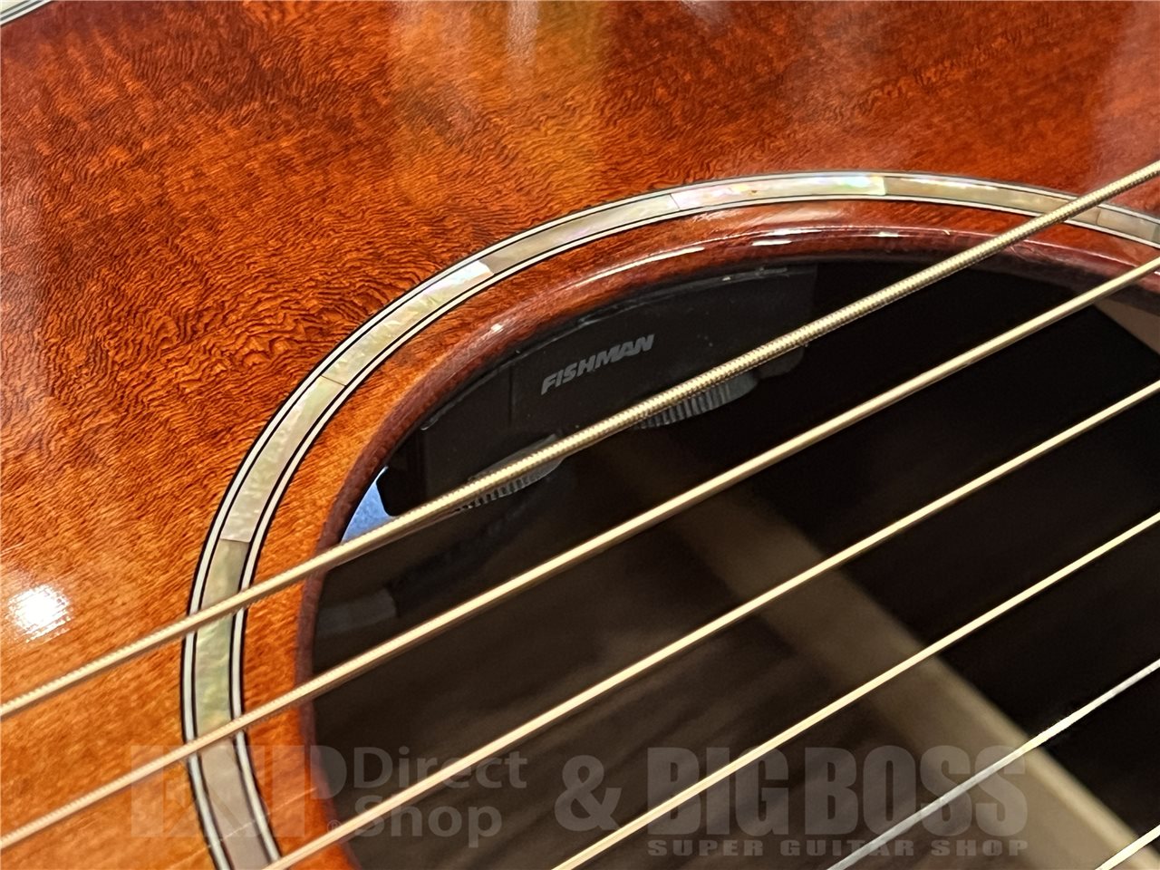 【即納可能】Eastman（イーストマン）PCH2-GACE-CLA（Classic）　名古屋店 - 4