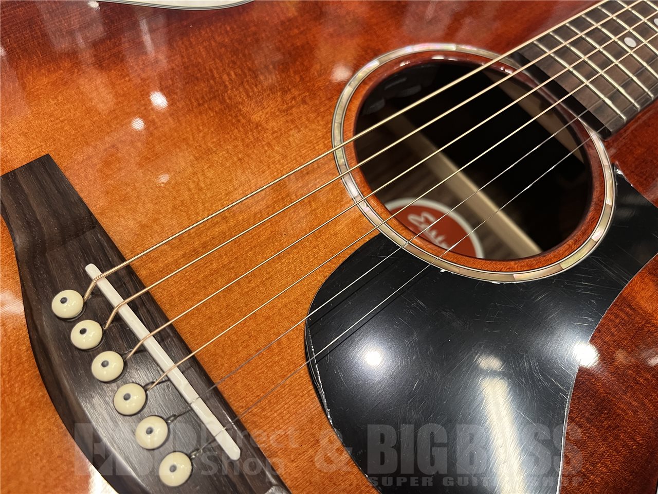 【即納可能】Eastman（イーストマン）PCH2-GACE-CLA（Classic）　名古屋店 - 3