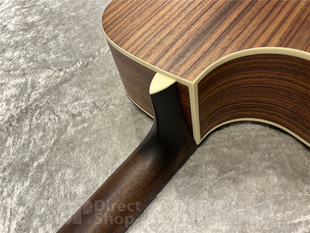 【即納可能】Eastman（イーストマン）PCH2-GACE-CLA（Classic）　名古屋店 - 10