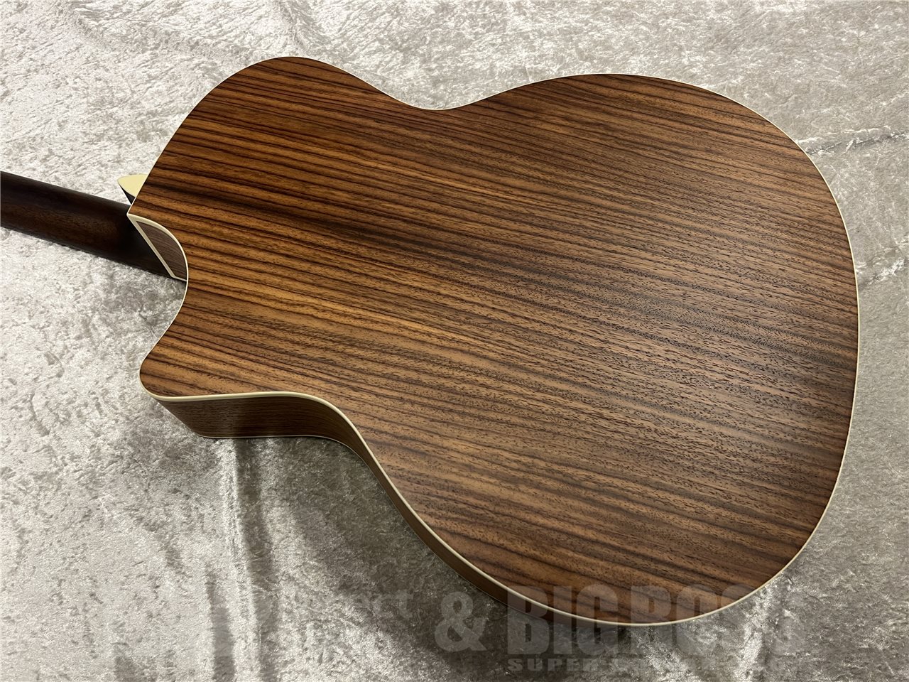 【即納可能】Eastman（イーストマン）PCH2-GACE-CLA（Classic）　名古屋店 - 9