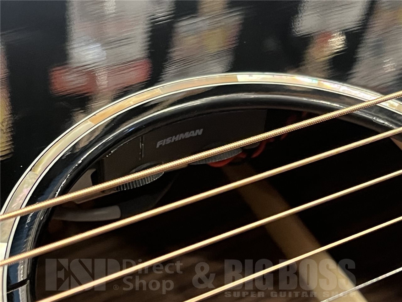 【即納可能】Eastman（イーストマン）PCH2-GACE-BK（Black）　名古屋店 - 4