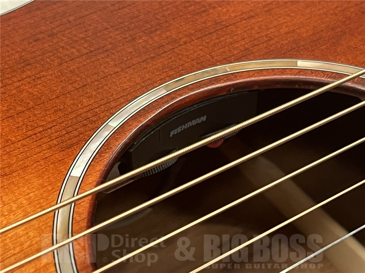 【即納可能】Eastman（イーストマン）PCH1-GACE-CLA（Classic）　名古屋店 - 4