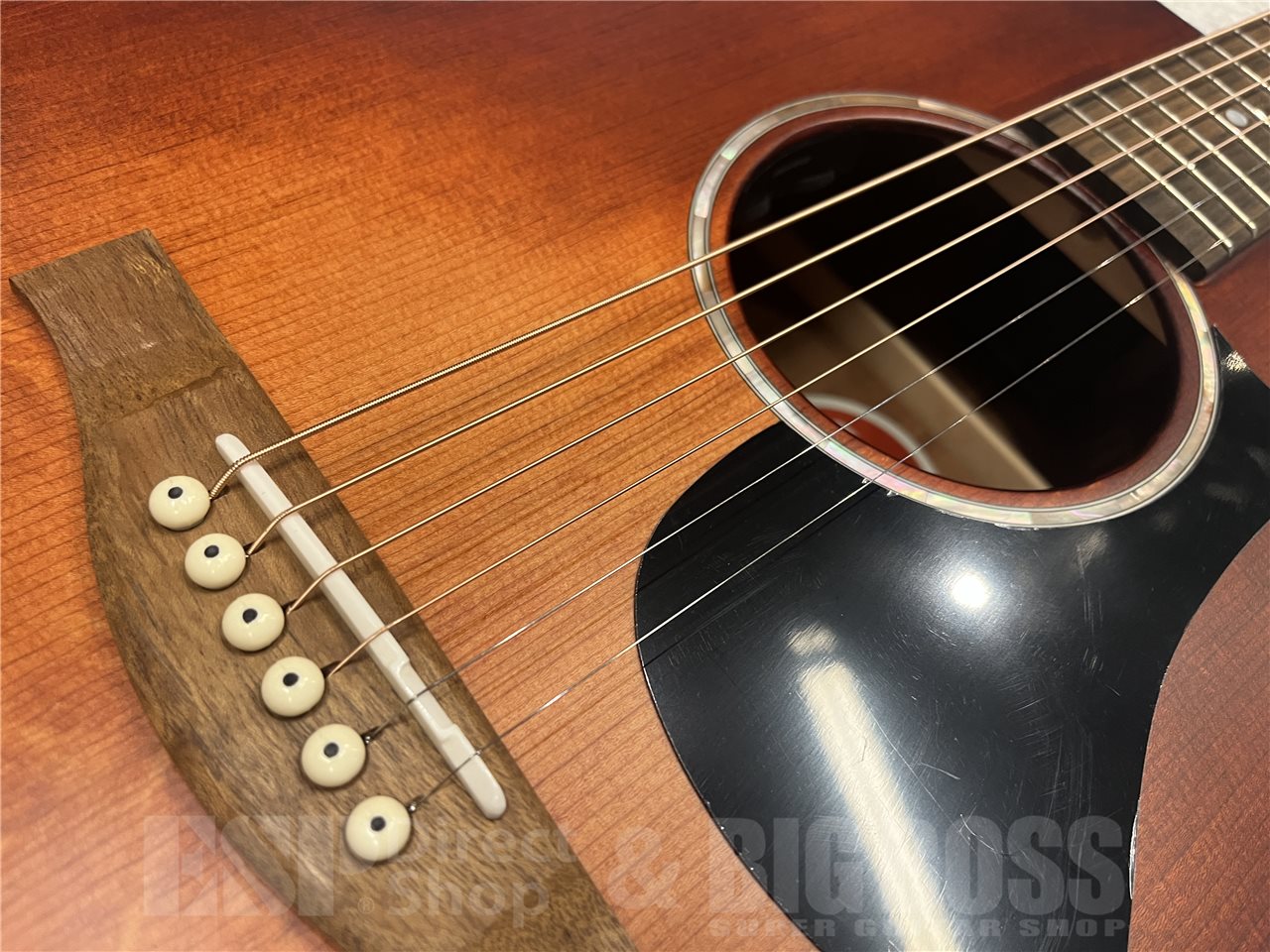 【即納可能】Eastman（イーストマン）PCH1-GACE-CLA（Classic）　名古屋店 - 3