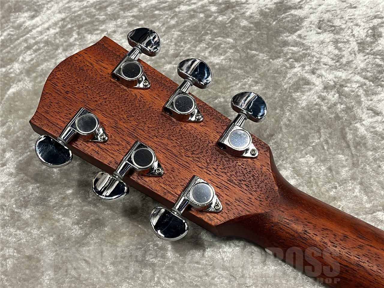 【即納可能】Eastman（イーストマン）PCH1-GACE-CLA（Classic）　名古屋店 - 7