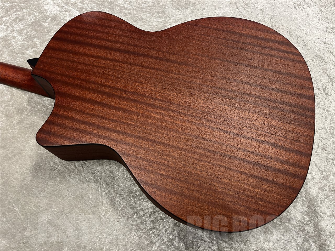 【即納可能】Eastman（イーストマン）PCH1-GACE-CLA（Classic）　名古屋店 - 9