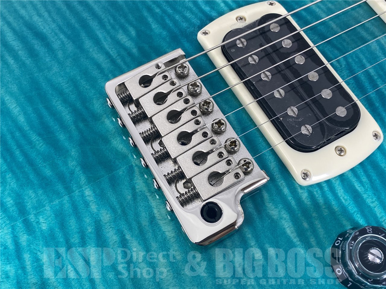 【即納可能】Paul Reed Smith(PRS/ポールリードスミス) SE Custom 24 / Sapphire (2025年製 S/N CTI H072417) お茶の水駅前店(東京) - 5
