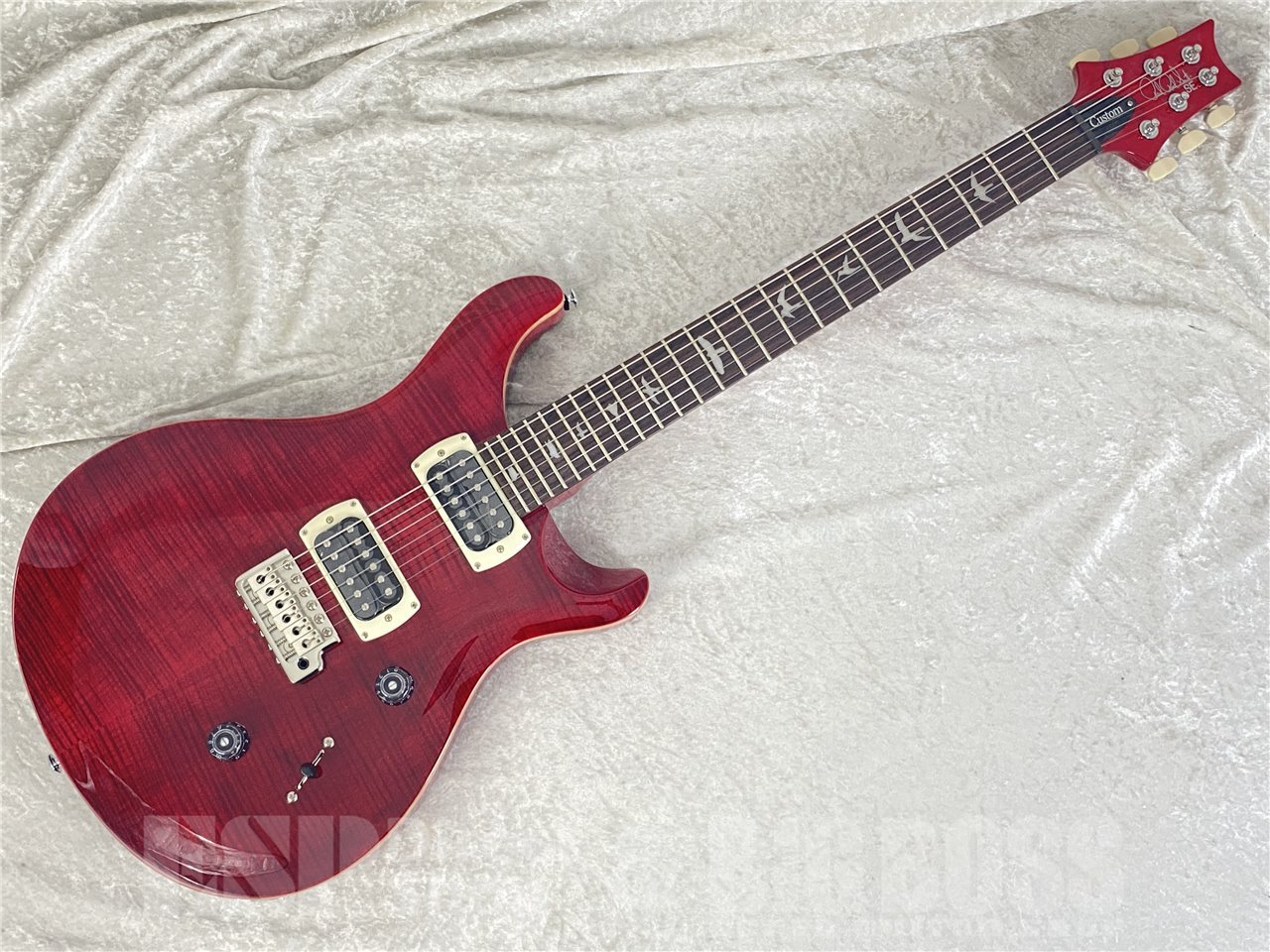 【即納可能】Paul Reed Smith(PRS/ポールリードスミス) SE Custom 24 / Black Cherry (2025年製) お茶の水駅前店(東京) - 2