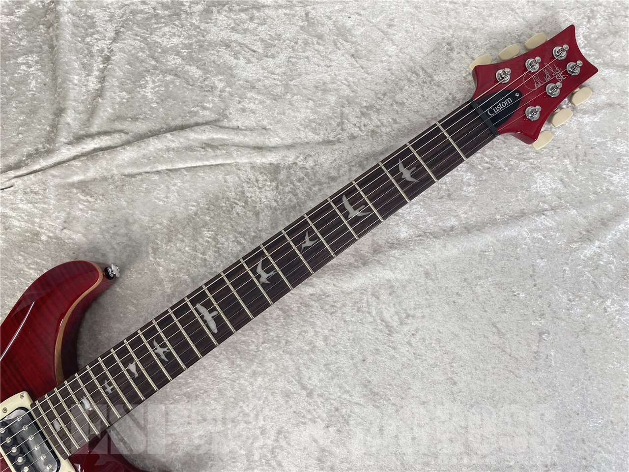 【即納可能】Paul Reed Smith(PRS/ポールリードスミス) SE Custom 24 / Black Cherry (2025年製) お茶の水駅前店(東京) - 7