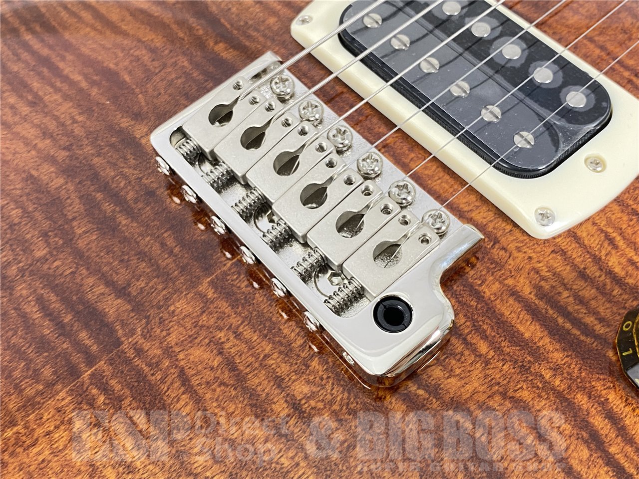 【即納可能】Paul Reed Smith(PRS/ポールリードスミス) SE Custom 24 / Black Gold Burst (2026年製) お茶の水駅前店(東京) - 5