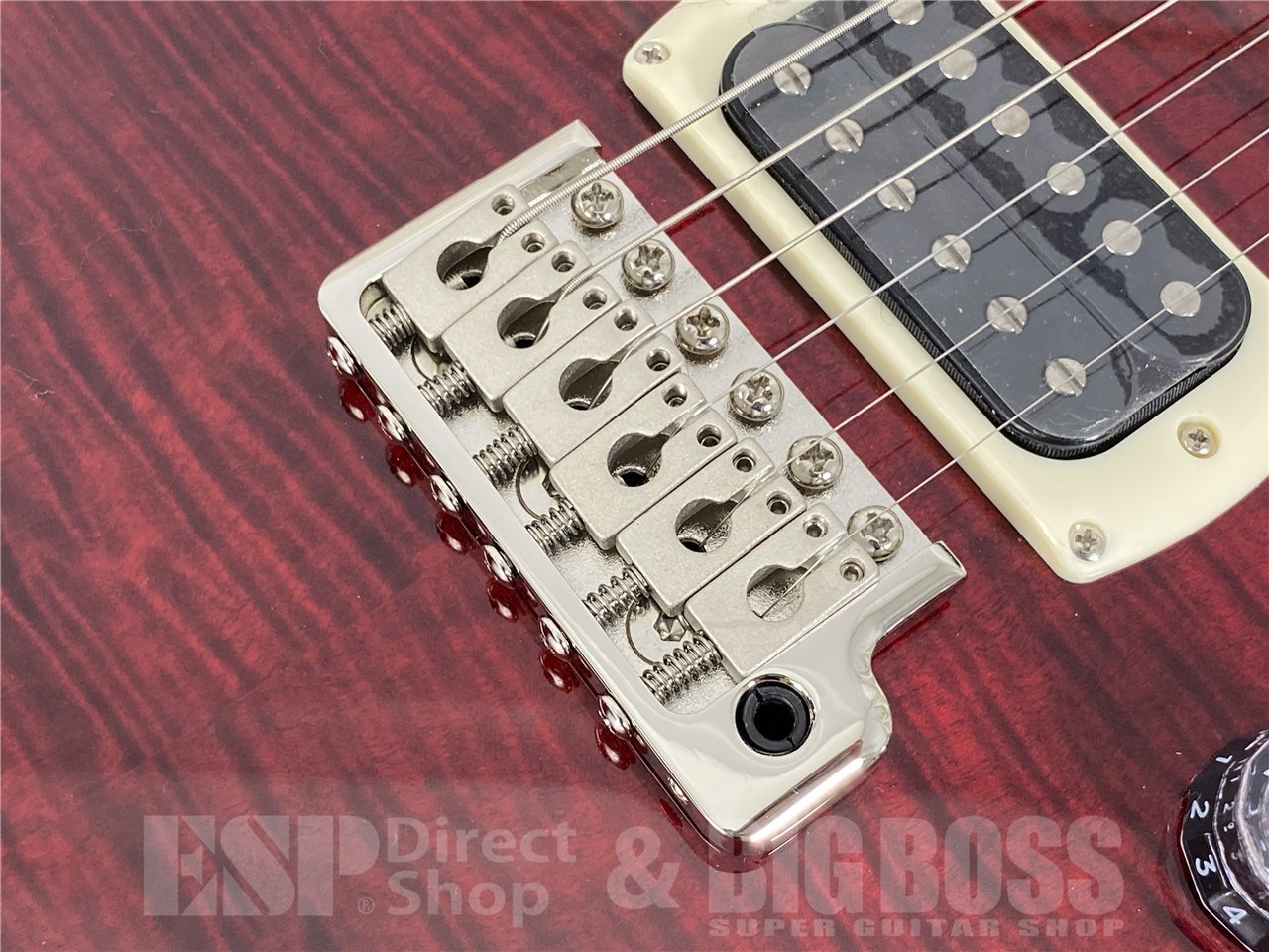 【即納可能】Paul Reed Smith(PRS/ポールリードスミス) SE Custom 24 / Fire Red Burst (2025年製) お茶の水駅前店(東京) - 5