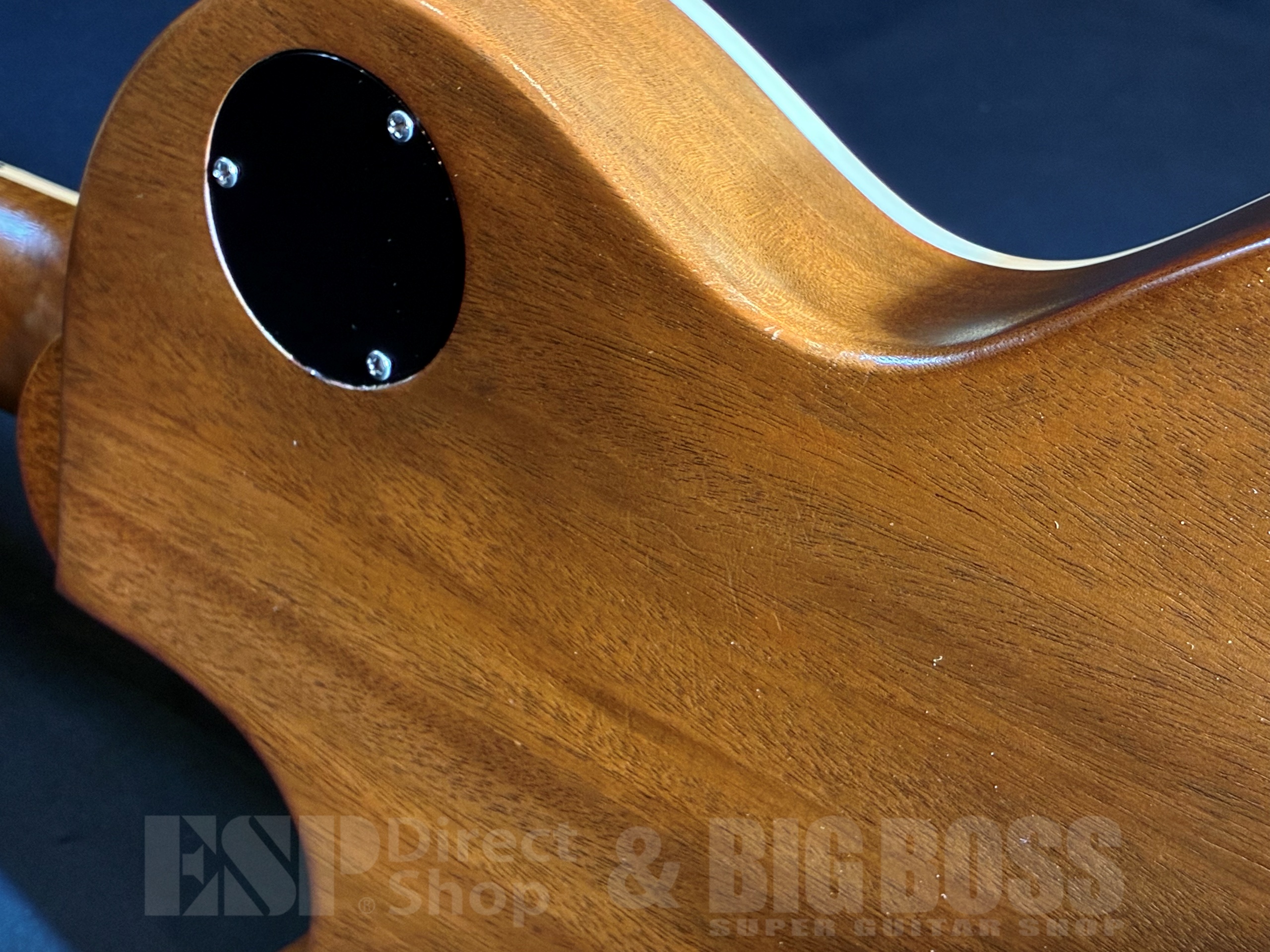 【即納可能/中古品】Gibson(ギブソン) Les Paul Standard 50s Faded 大阪店 - 10